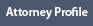 New York City Commercial Litigation Lawyers Corporate Attorneys Queens Brooklyn Bronx Manhattan Nassau Suffolk County Long Island