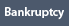 New York City Business Lawyers Loan Modification Attorneys Foreclosure Bankruptcy Immigration Law Firm Queens Brooklyn Manhattan Long Island Nassau Suffolk County