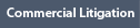 New York City Real estate Foreclosure Litigation Lawyers Attorneys Queens Brooklyn Bronx Manhattan Nassau Suffolk County Long Island